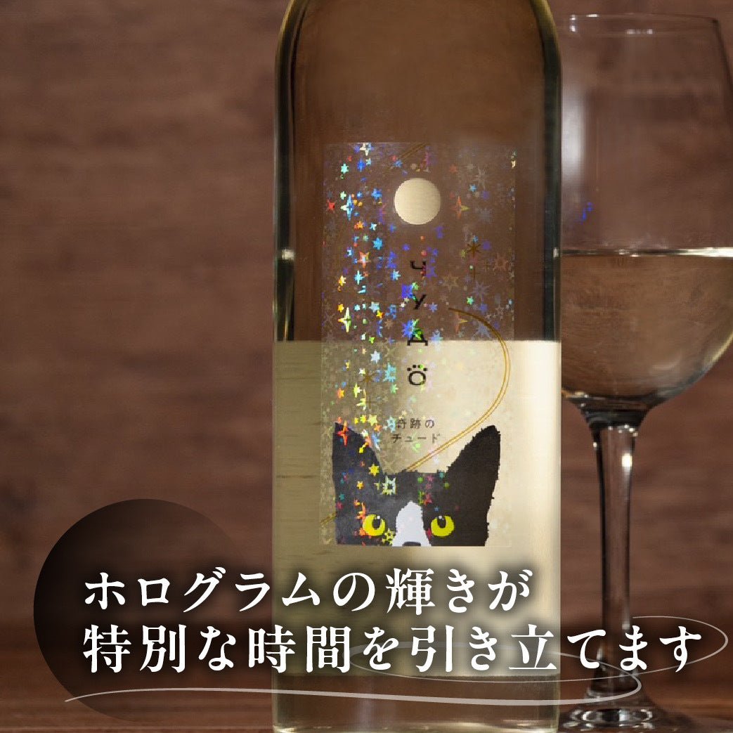 чудо(チュード)